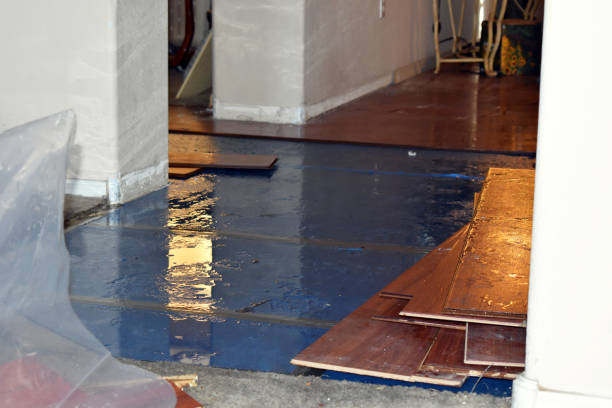 Professional Burst Pipe Cleanup technician working in Woodstock, NH